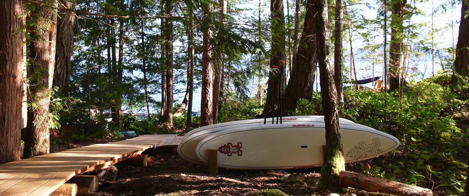 Paddle boards are available to use for all guests at our eco resort