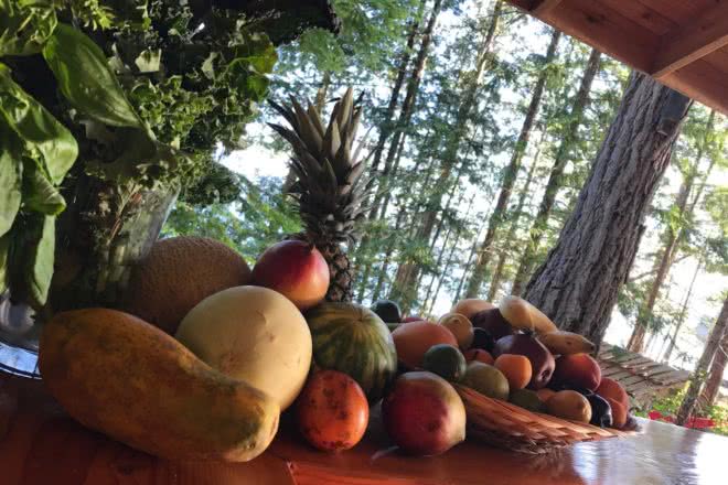 The fruit bowl overflowing with fresh, healthy fruit at Cabana Desolation Eco Resort